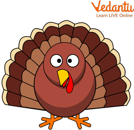 Ted, the Turkey