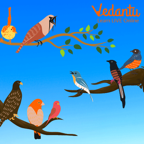 All the birds assemble