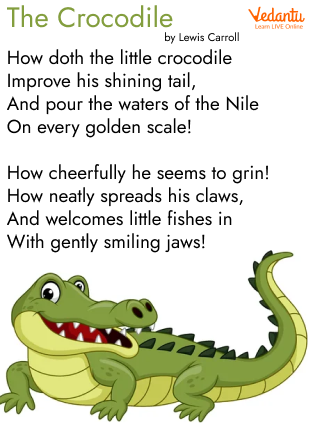 The Crocodile