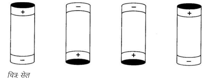 सेल