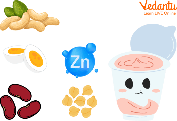 Sources of zinc from food