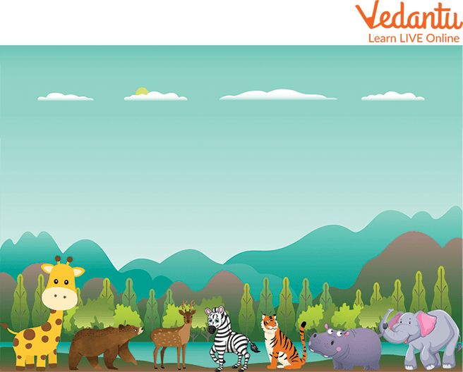Animals Gathered Near the Lake