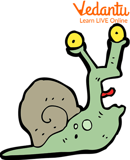 Slow Snail