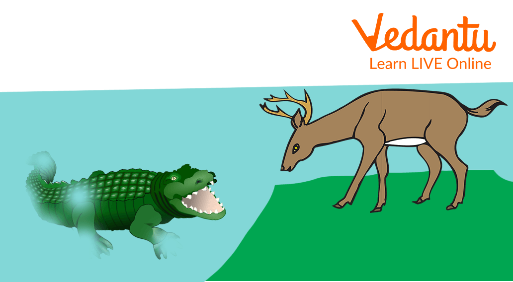 deer talking to the crocodile