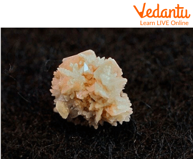 Kidney Stone