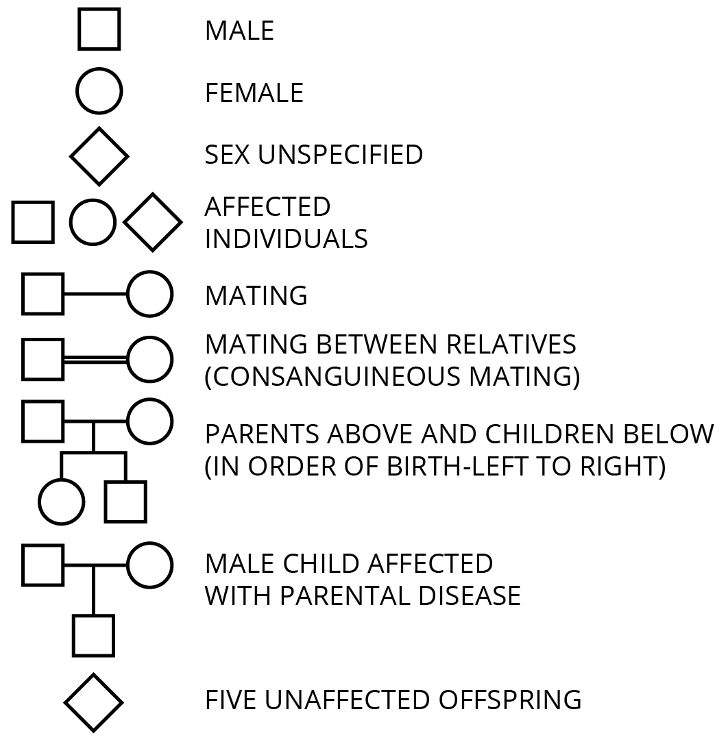 द्विसंकर क्रॉस