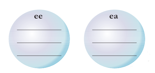 Now add more words with ‘ee’ and ‘ea’ and put them inside the bubbles.