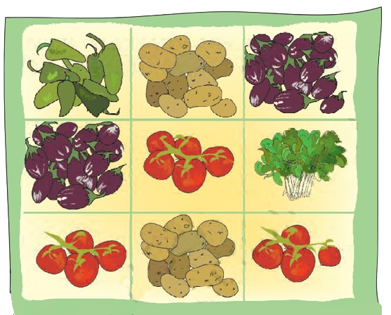 Ramu’s Vegetable Field