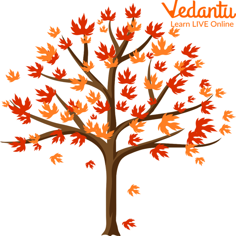 The Fall Season