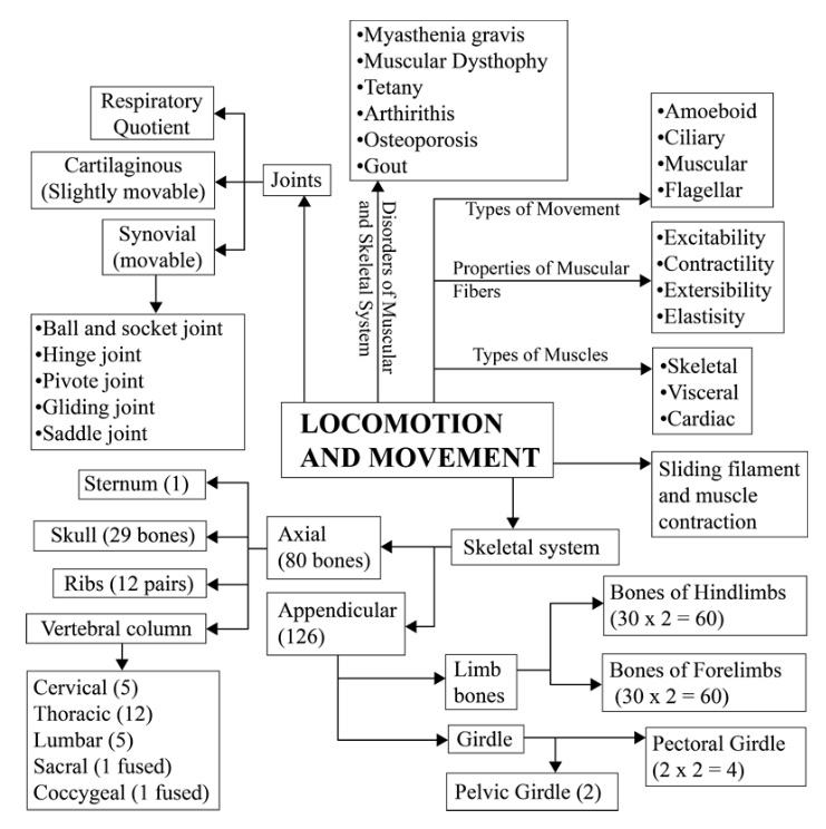 Locomotion and Movement