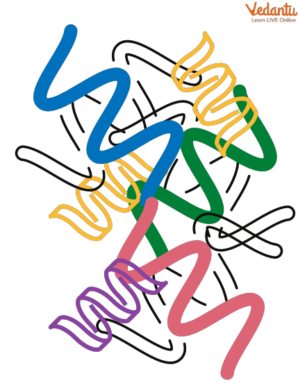 Protein Structure