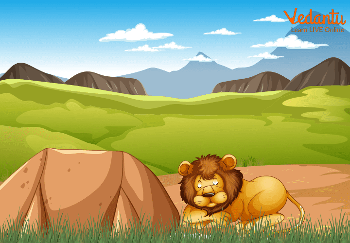The lion returned to his den after getting nothing to eat