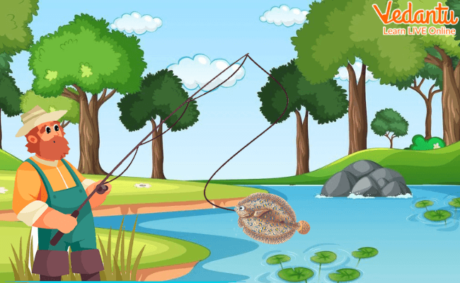 Fisherman and the Flounder
