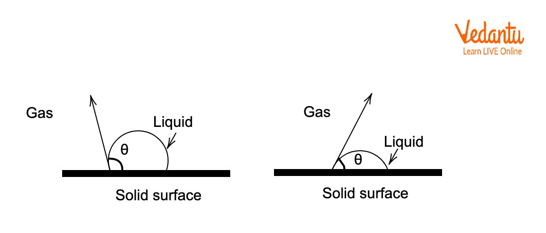 Solid-Liquid-Gas Interface