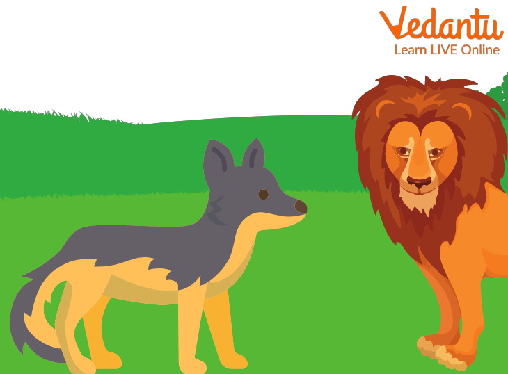The Lion and the Jackal