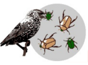 Variation in Trait 2