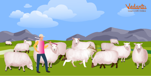 Farmer and Sheep