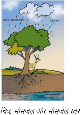 भौमजल और भौमजल स्तर