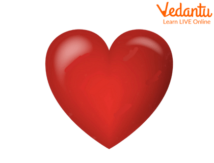 The young man’s heart