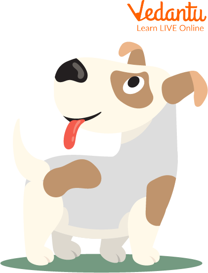 An adorable dog