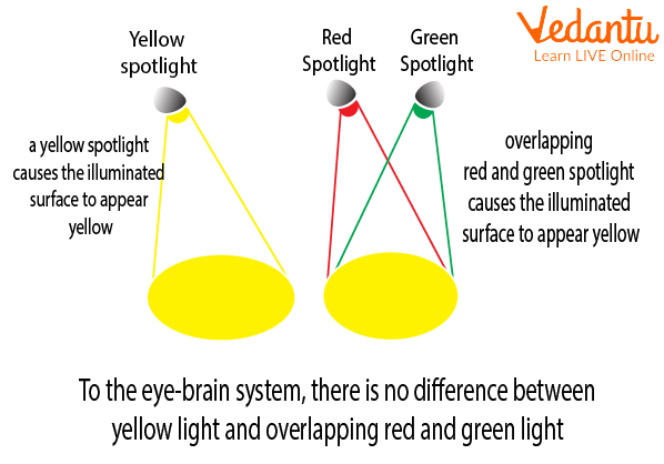 Yellow Light Appearance