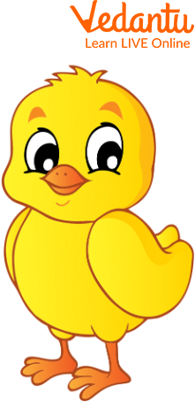 A Chick