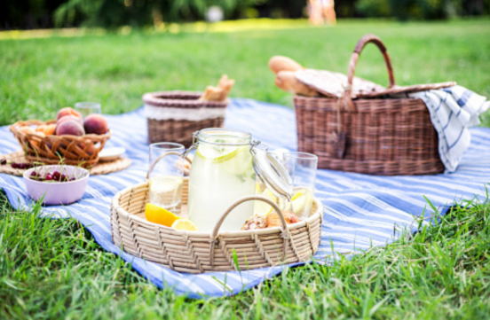 Picnics Theme