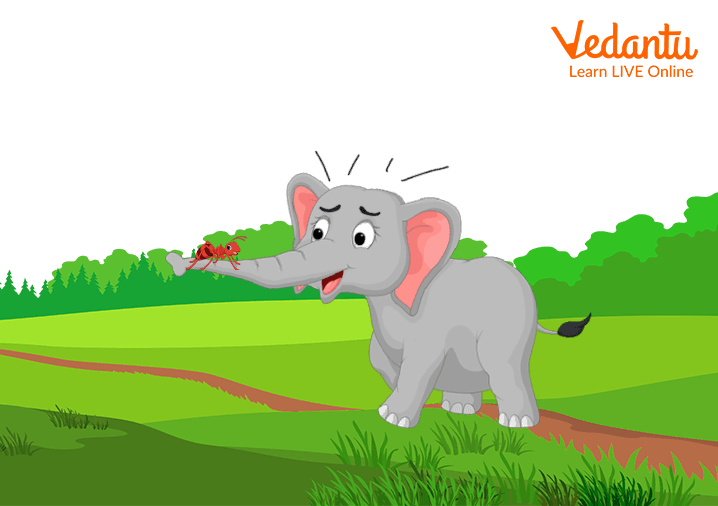 The elephant and the ant