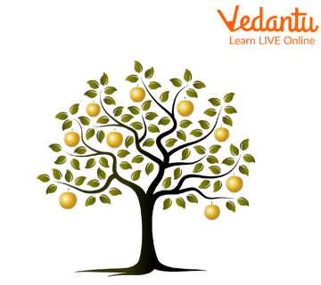 The Golden Apples of the Tree of Life