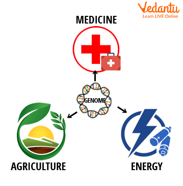 Diversity of Genomic Applications to Various Fields