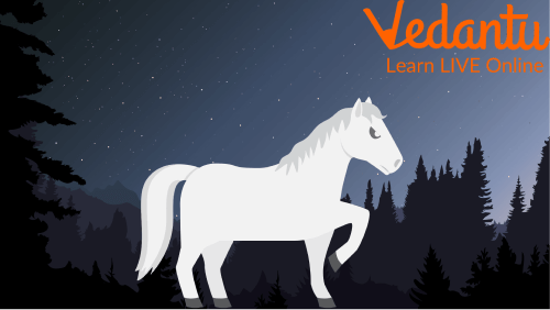 The Beautiful Shiny White Horse