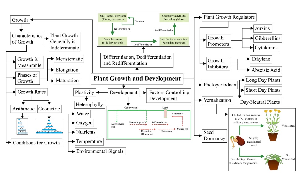 Plant Growth and Development