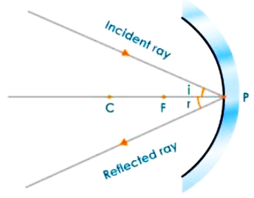 Reflection From a Concave Mirror