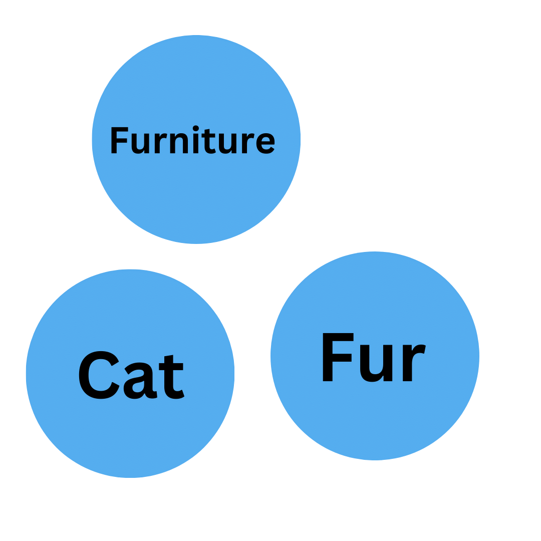 an image of three circles blue in colour showing some different words like furniture, cat and fur.