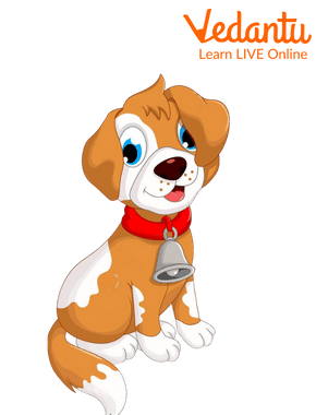 A Bell is Tied Around the Dog’s Neck