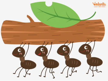 The Story of Ant Leadership and Management