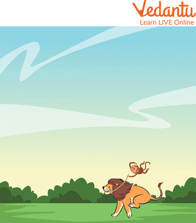 Monkey Riding on the Lion