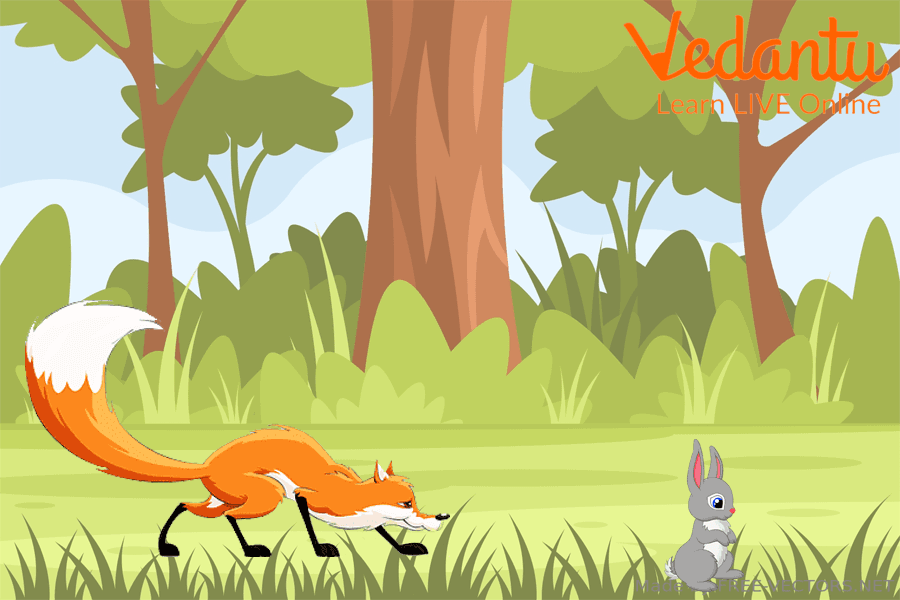 The Fox Trying to Hunt a Rabbit