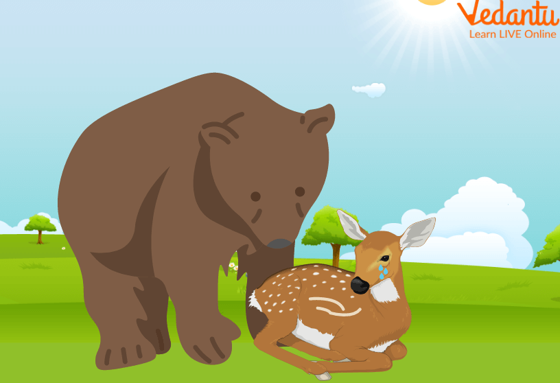 Bear Picking up Little Doe