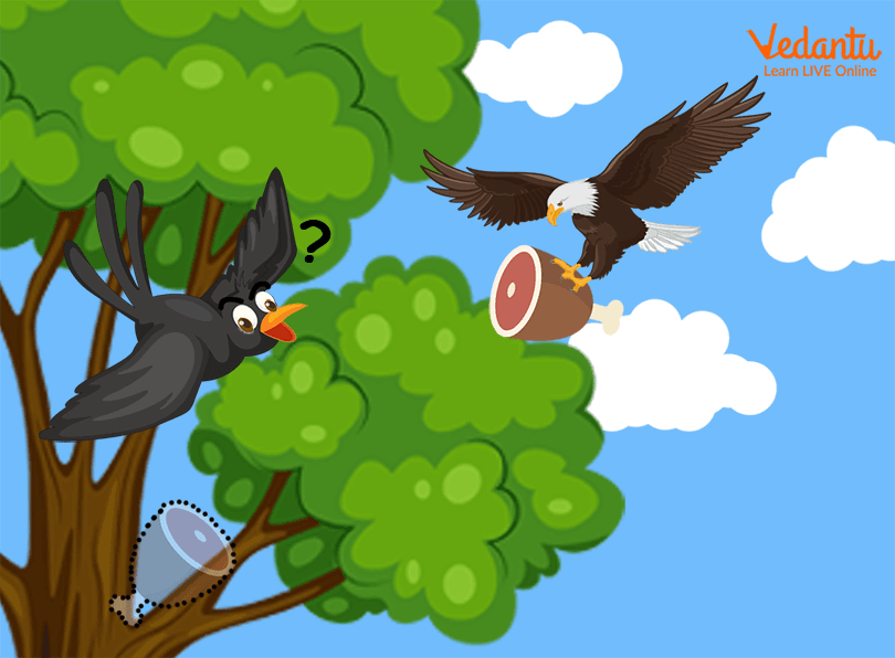 The hawk took the crow’s piece of meat