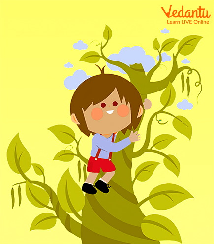 The Story of Jack and Beanstalk