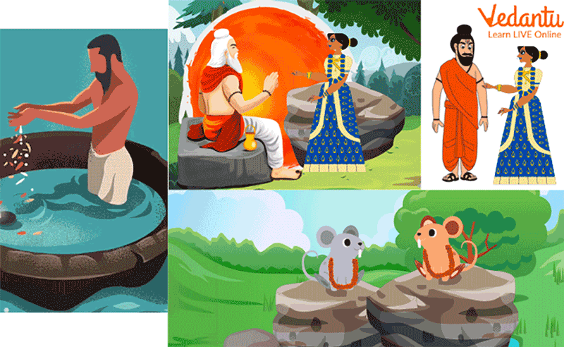The Mouse Maiden Story