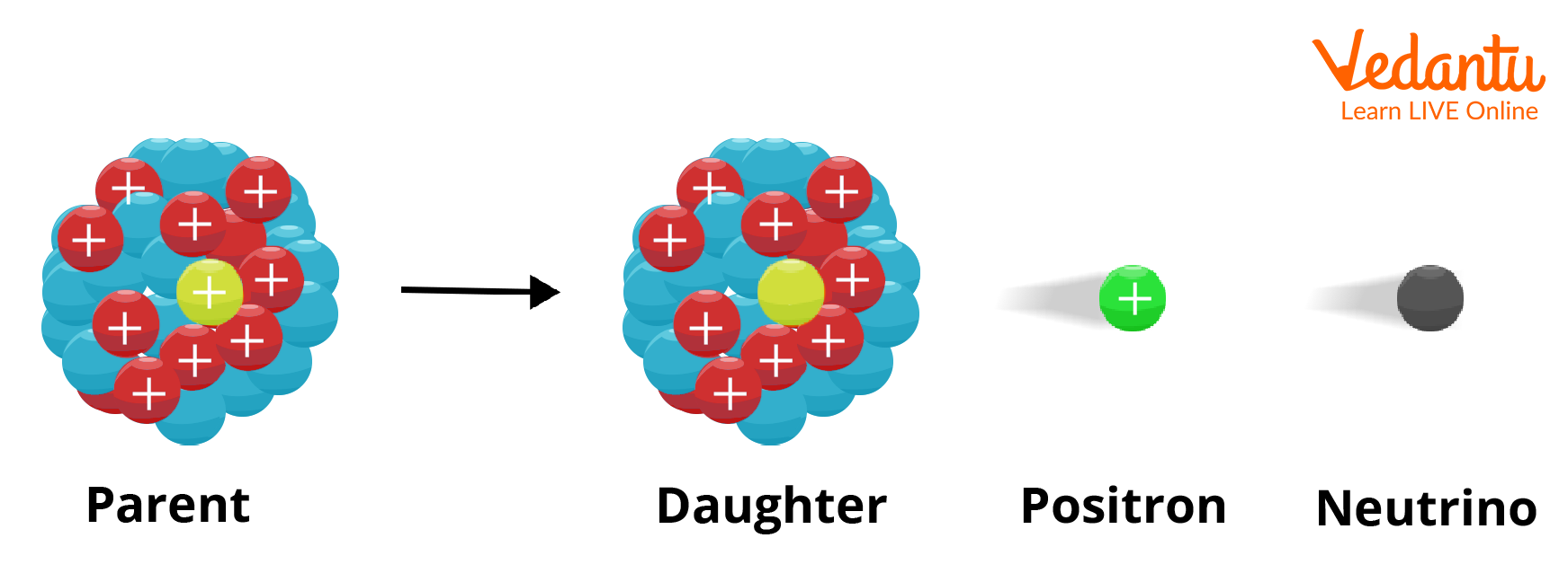 Beta Positive Decay Mechanism