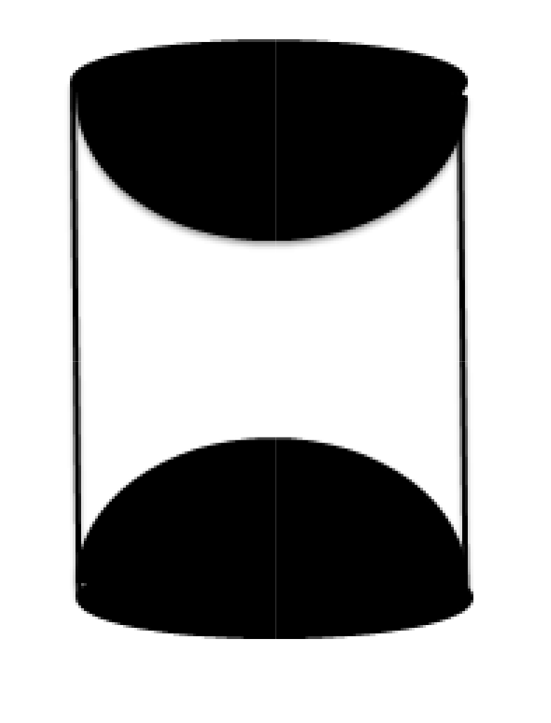 A wooden article was made by scooping out a hemisphere from each end of a solid cylinder
