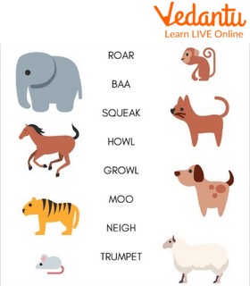 Animals And The Sound They Make