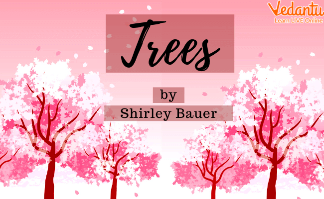 Poem by Shirley Bauer
