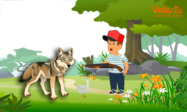 Peter capturing the wolf