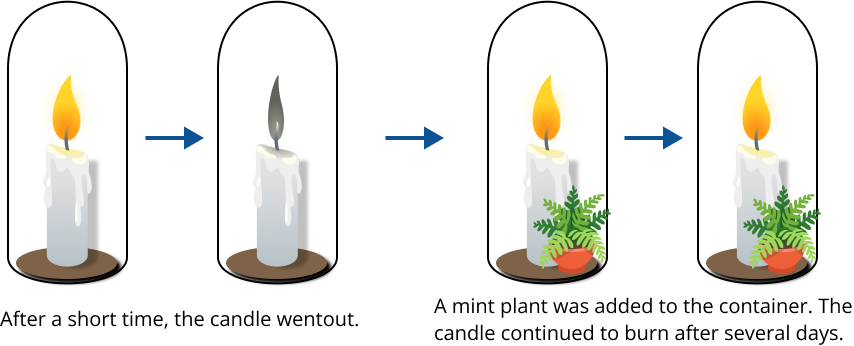 Early Experiment of Photosynthesis Done by Joseph Priestly