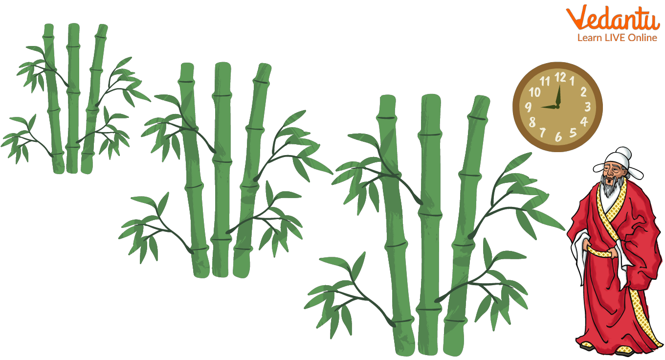 The Chinese bamboo story