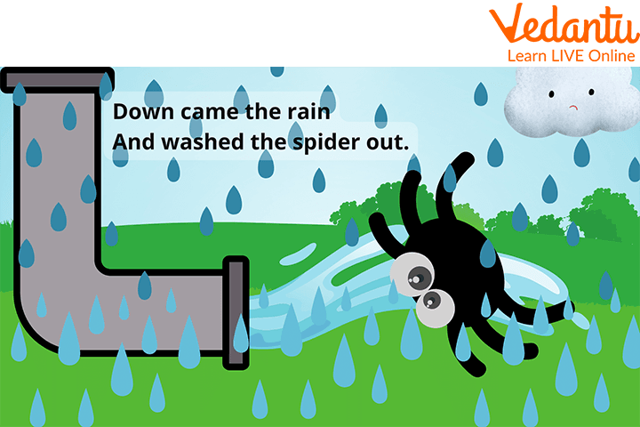Spider Gets out the Pipe